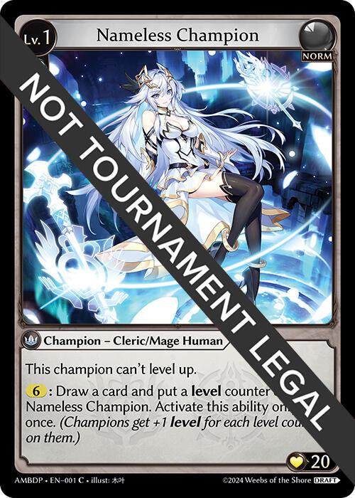 Nameless Champion (Cleric/Mage)