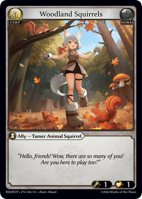 Woodland Squirrels