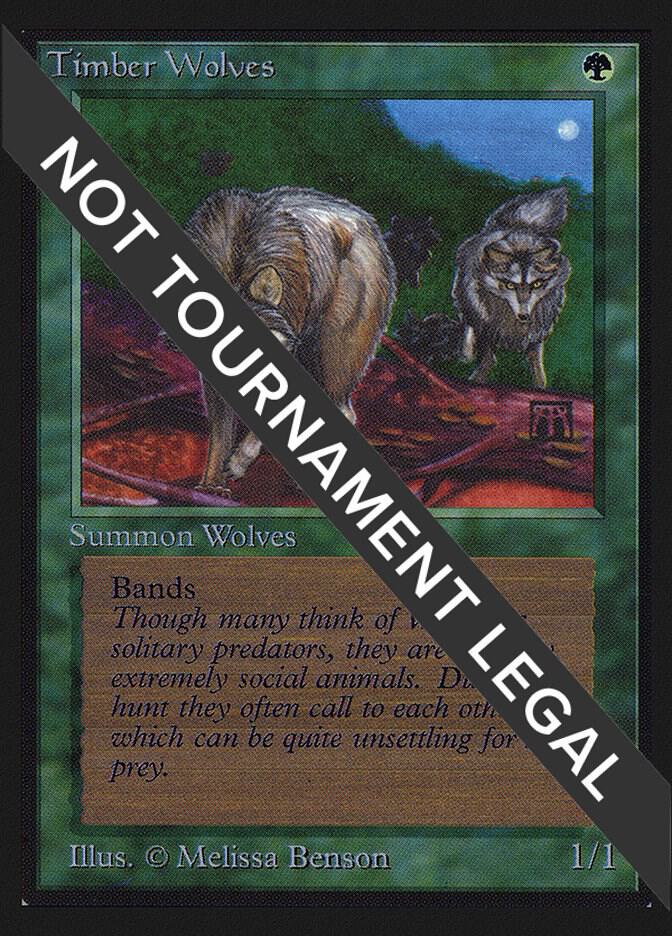 Timber Wolves (CE)